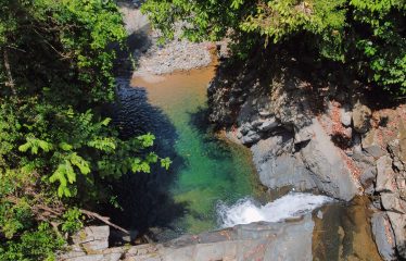 JUNGLE DREAMS FARM: WHERE NATURE MEETS SERENITY – 20 ACRES